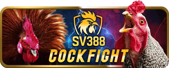 Chat trực tuyến 24/7 với đội ngũ hỗ trợ 888win chính thức